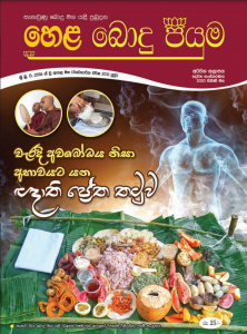 8 වන කලාපය