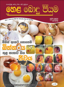 10 වන කලාපය