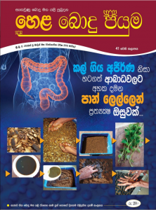 41 වන කලාපය